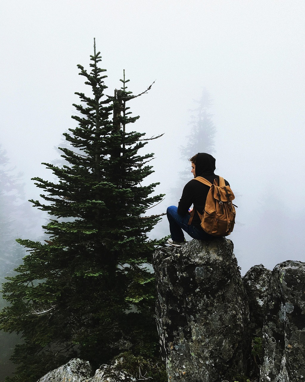 foggy, man, person, nature, rocks, solo, trees